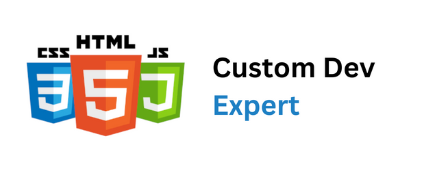 Custom Web Development Services