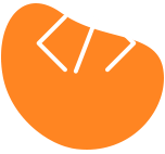 software development company